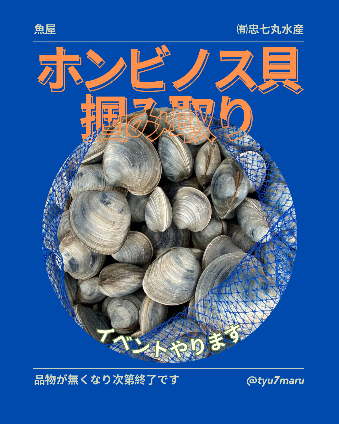 ホンビノス貝の掴み取り
