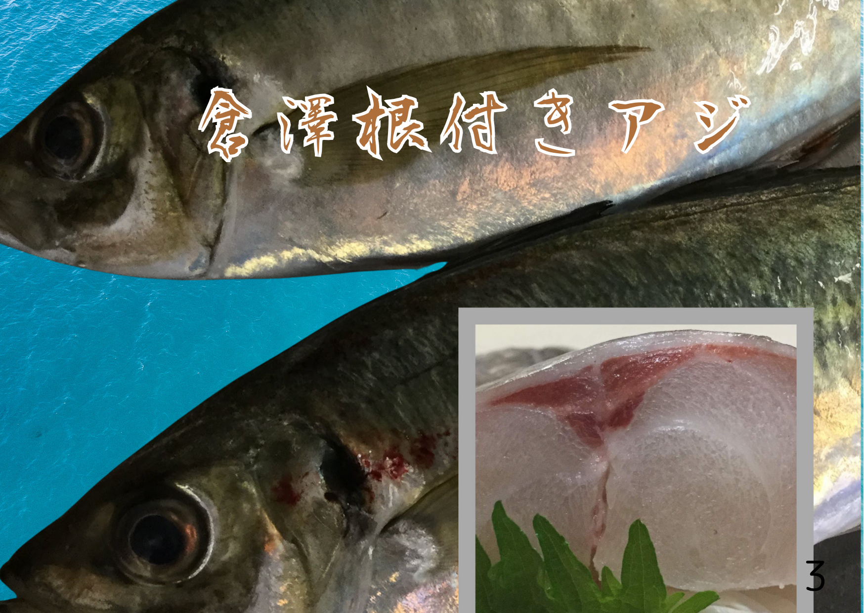 倉澤根付きアジ.png