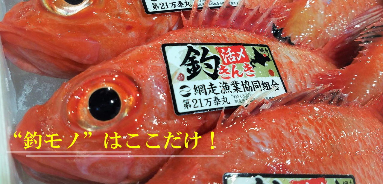 IMG_0301.png
