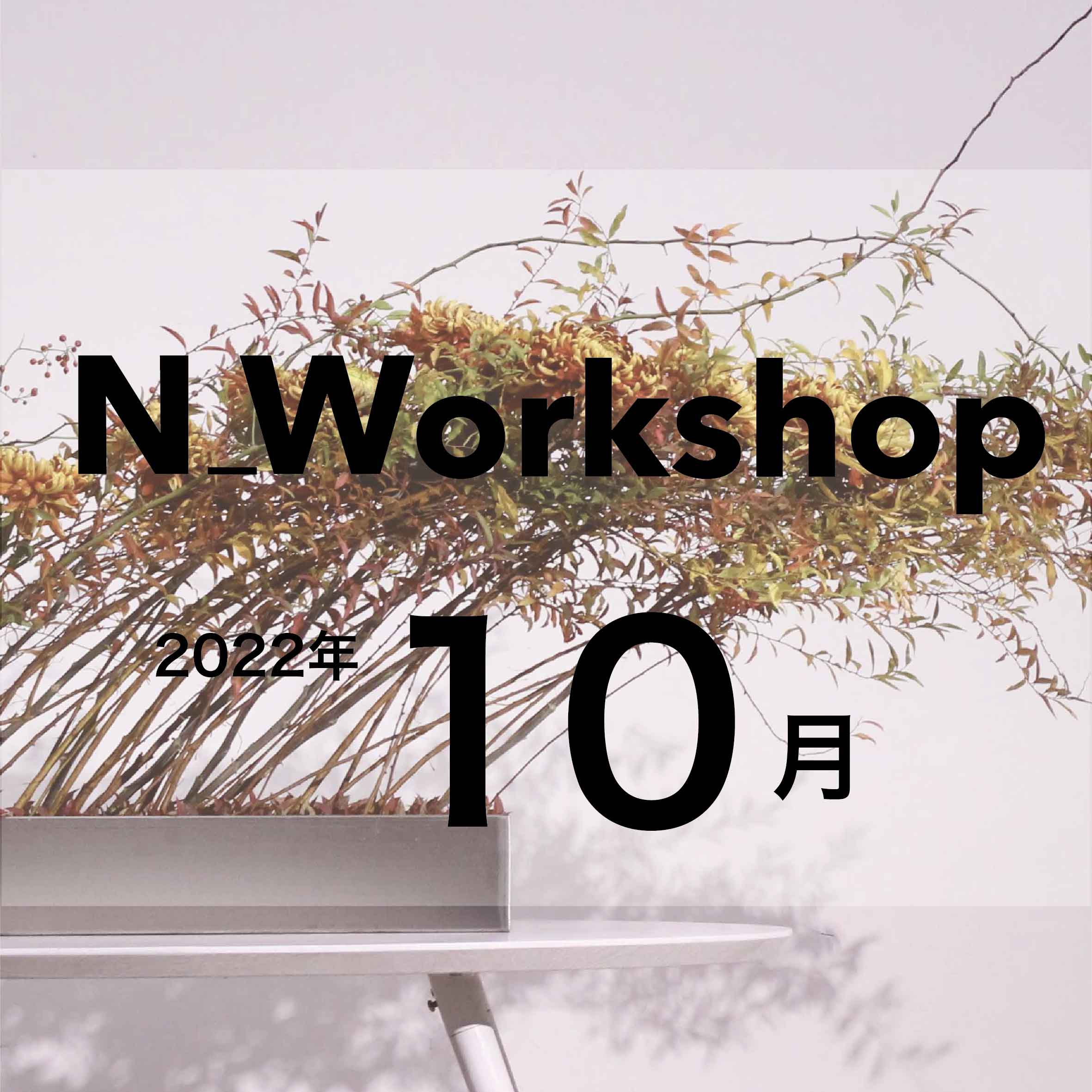 N_Workshop 10月の参加者募集中！
