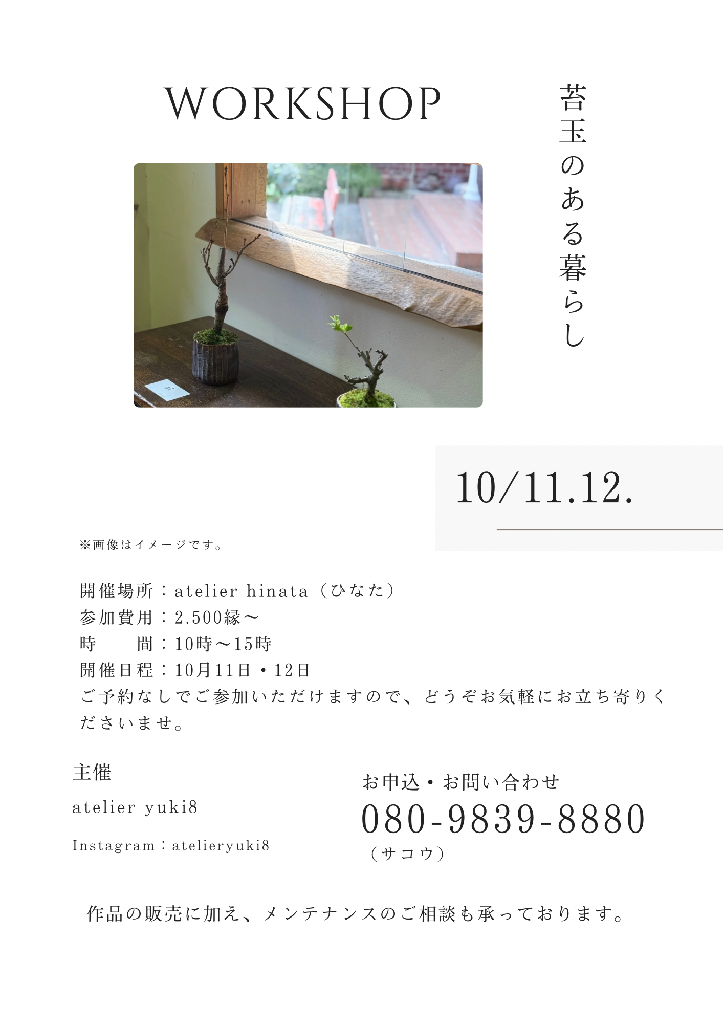 苔玉WS