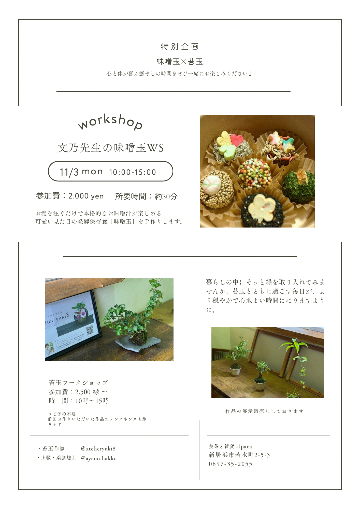 WS（味噌玉×苔玉）