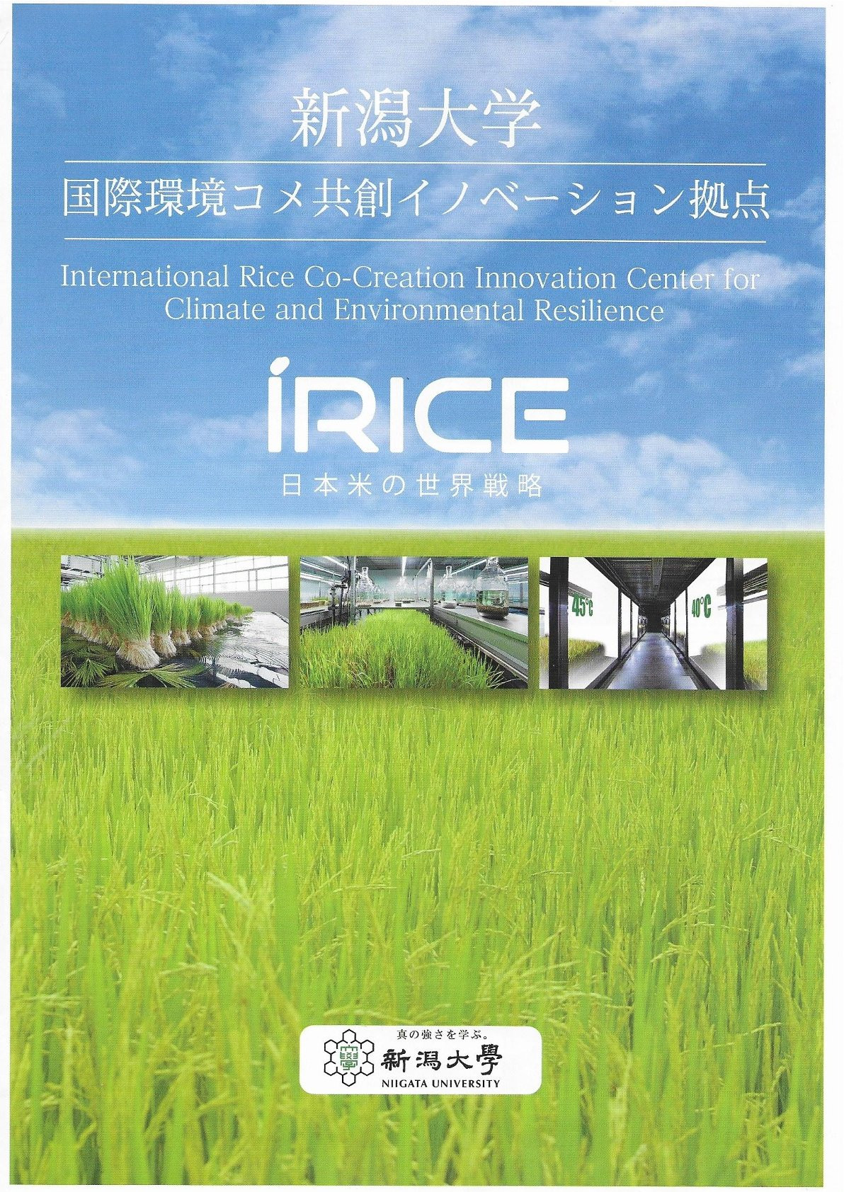 新潟大学 国際環境コメ共創イノベーション拠点【iRICE】のご紹介