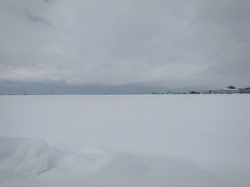 【お知らせ】節分の雪と、春を待つ種籾(たねもみ)の到着
