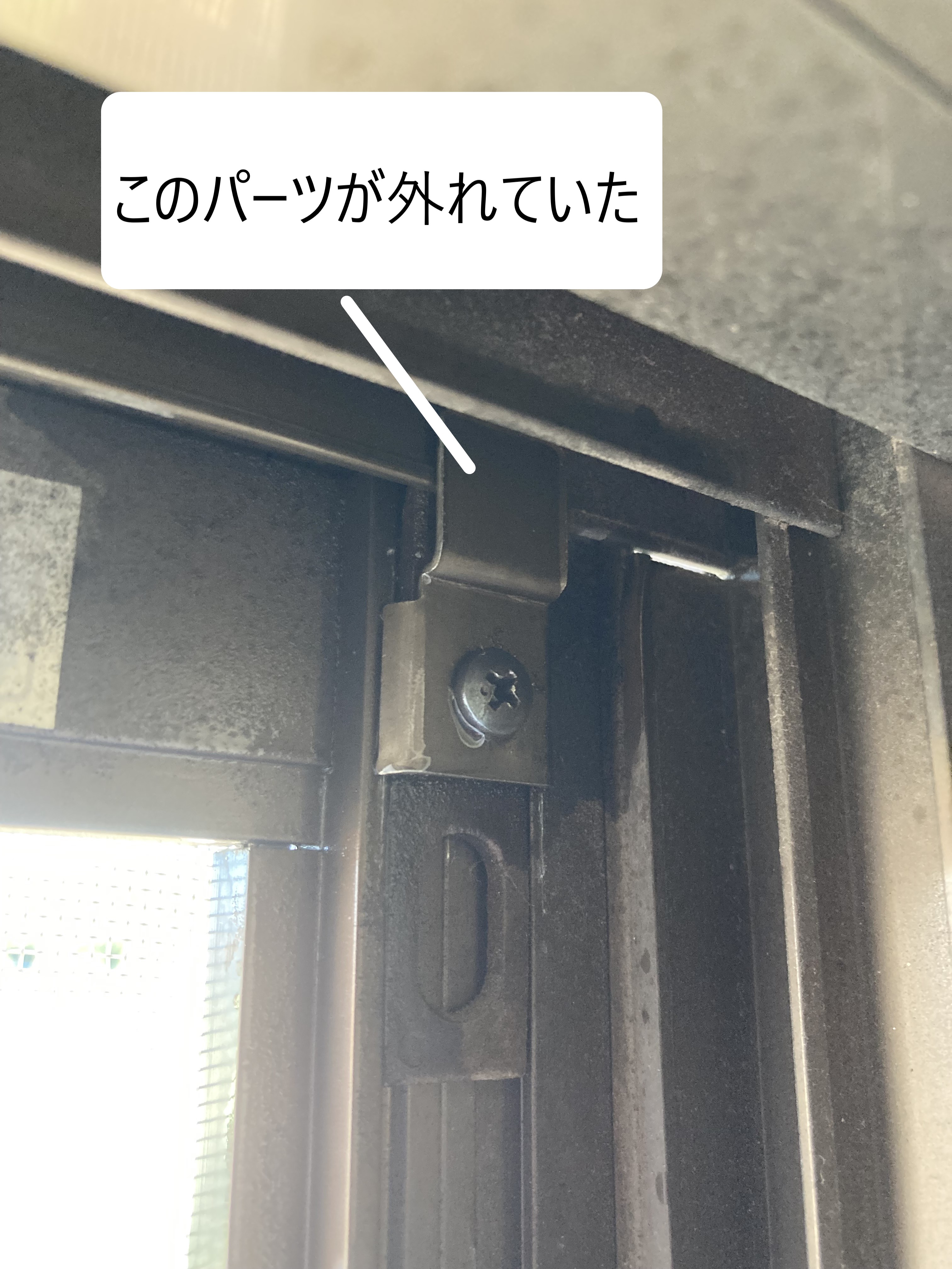 HP用写真.jpg