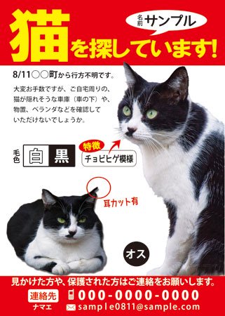 「にゃんこ何処へ」