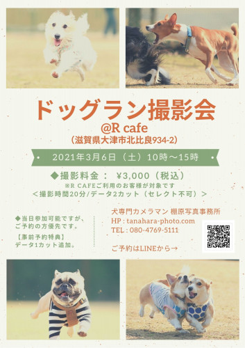 ドッグラン撮影会@R cafe