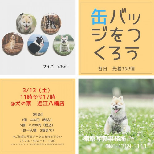 缶バッジイベント@犬の家近江八幡店