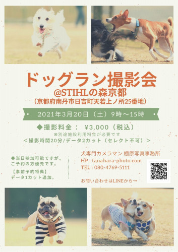 ドッグラン撮影会@スチールの森京都