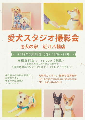 撮影会 犬の家 近江八幡店