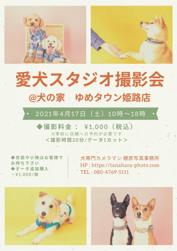 愛犬スタジオ撮影会@犬の家ゆめタウン姫路店(姫路市)