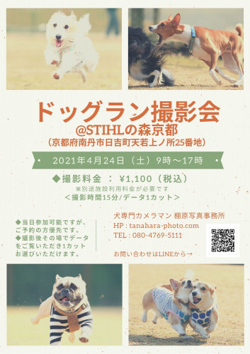 ドッグラン撮影会@スチールの森京都