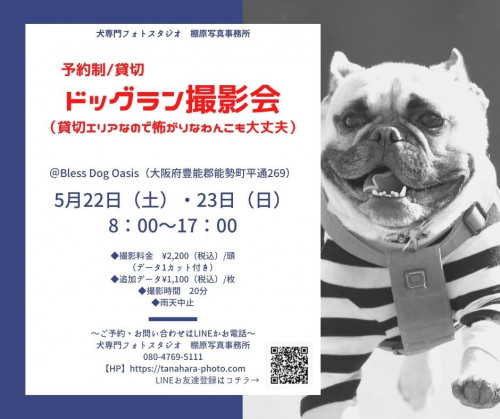 ドッグラン撮影会@Bless Dog Oasis(大阪府能勢町)