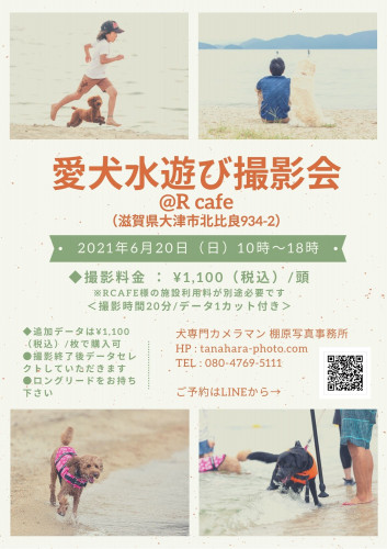 愛犬水遊び撮影会@Rcafe(滋賀県)