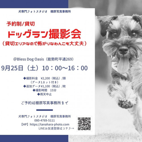 ドッグラン撮影会@Bless Dog Oasis