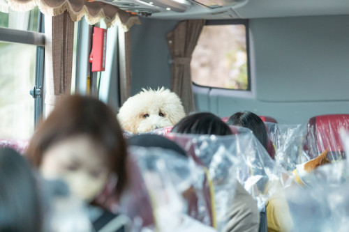 第2回犬と一緒にバスツアー
