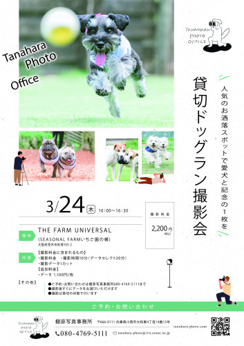 【ドッグラン撮影会】THE FARM UNIVERSAL