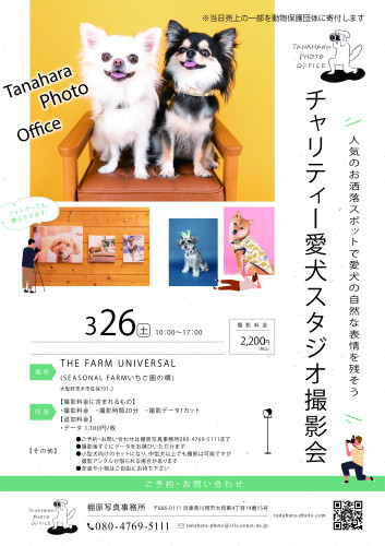スタジオ撮影会 THE FARM UNIVERSAL(茨木市)
