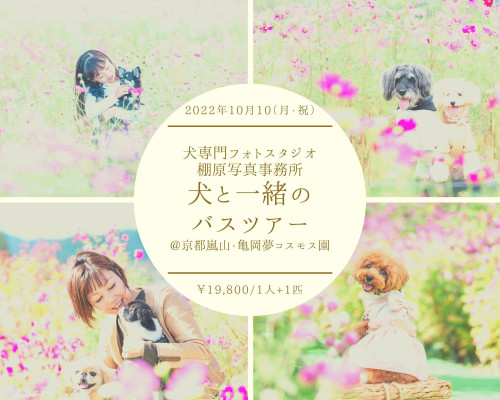 わんわんバスツアー@京都