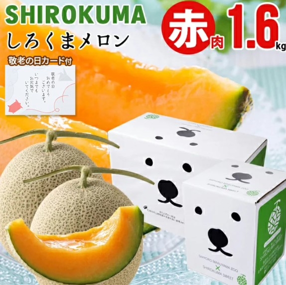 【敬老の日・SHIROKUMAメロン発送承り中】
