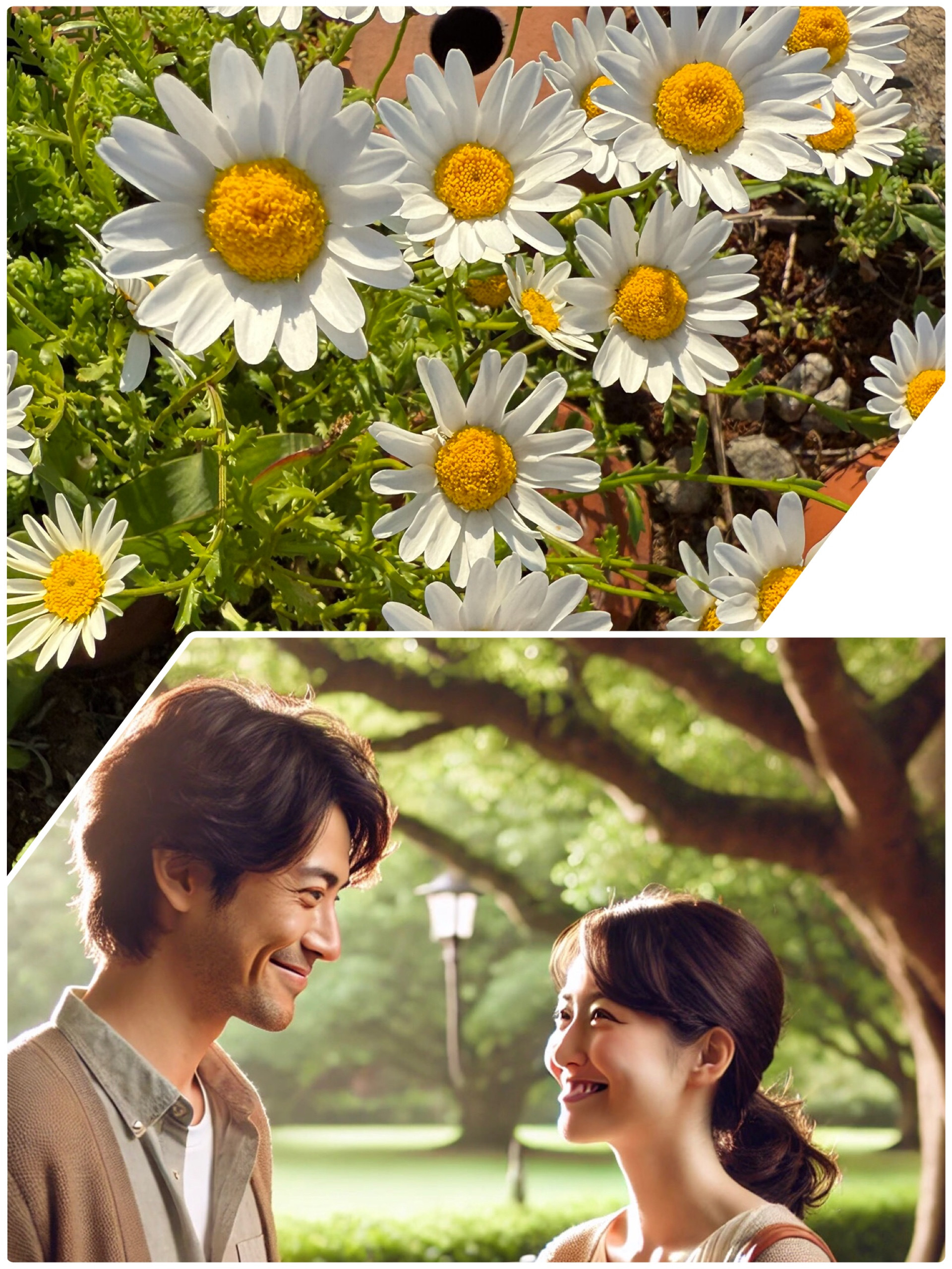 #🌸日々の会話の中で感じること🌸🩷