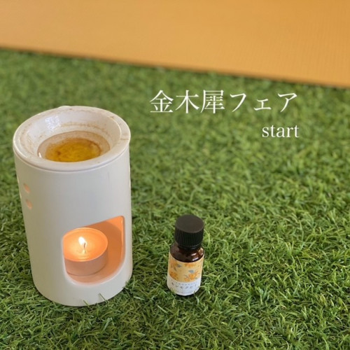 本日より ~香りの秋 金木犀フェア~ 始まりました⚘
