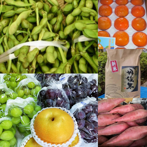 改訂// 2022年度🔷百音の産直マルシェ🔷8月下旬頃から🍇🍐始まります✨