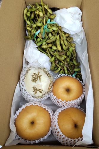 初売り決定! 京丹波産〈黒豆の枝豆〉10月14日(金)➡15日(土)