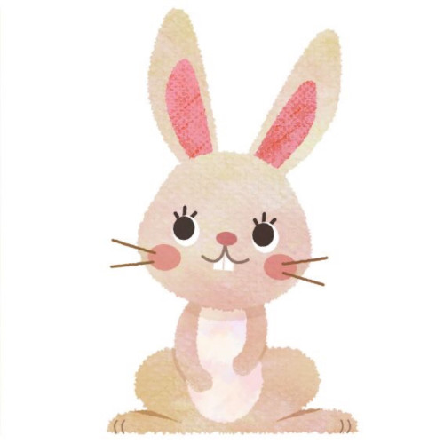 明けましておめでとうございます✨