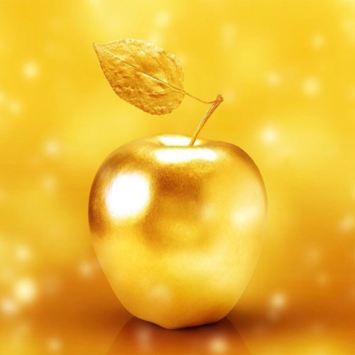 来月からの新しい鑑定所が決まりました