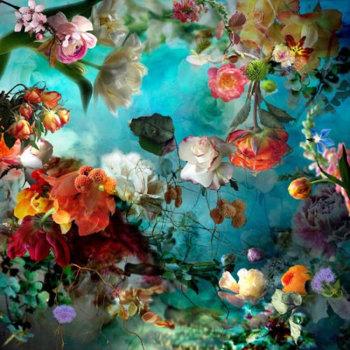 2月4日(火)の臨時休業について