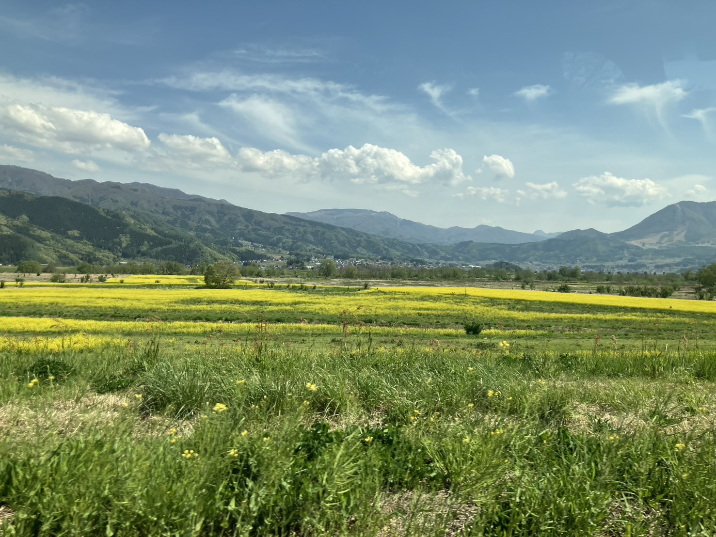 長期臨時休業のお知らせ