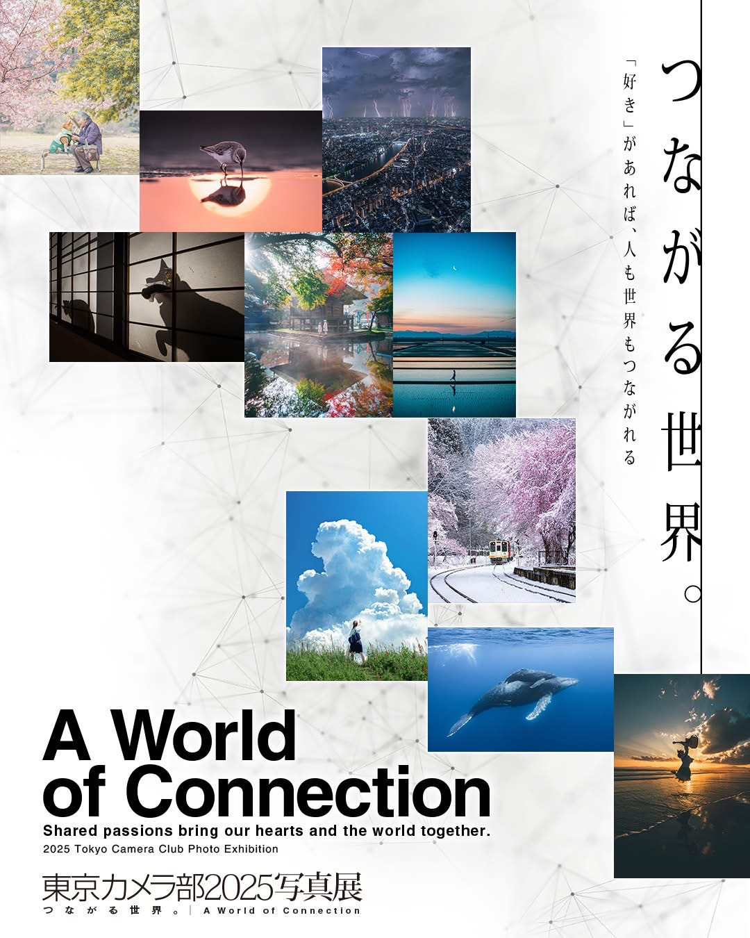 東京カメラ部2025写真展 トークショー登壇のお知らせ