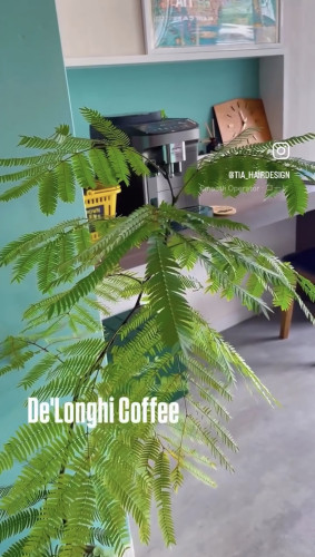 本日よりデロンギの美味しいコーヒー☕︎が飲めます