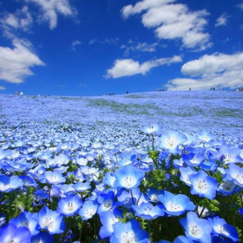 5月もよろしくお願いします^ - ^