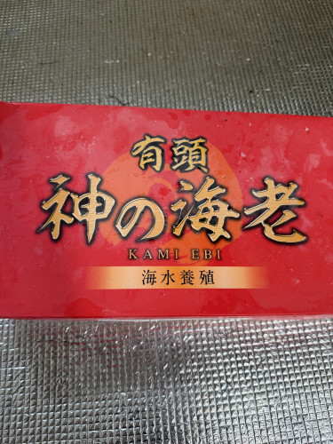 IMG_9172.jpeg