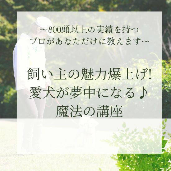 【飼い主の魅力爆上げ💛愛犬が夢中になる🐶魔法の講座】「愛犬への自信がない・・」「もっと愛犬に好かれたい・・・」飼い主さん限定!! 〜800頭以上の実績を持つプロがあなただけに教えます〜