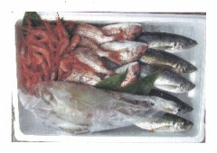 鮮魚セット.jpg
