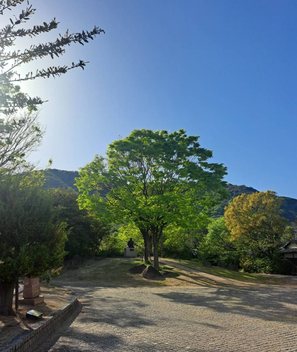 5月