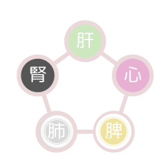 体質診断カウンセリング