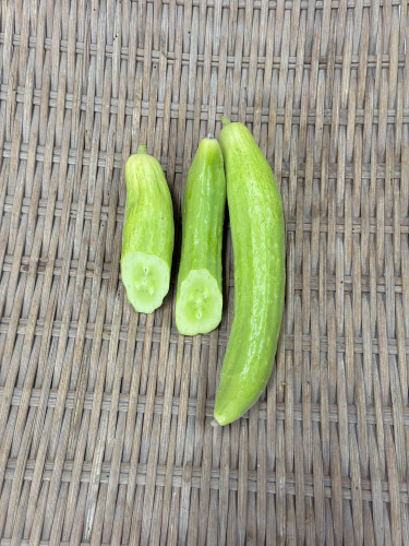 白黄うり.jpg