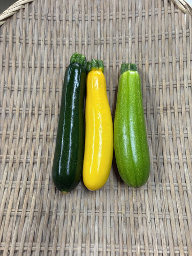 ズッキーニ3種.jpg