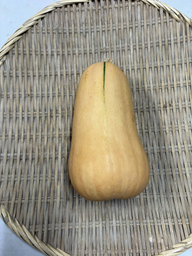 かぼちゃ バターナッツ.jpg