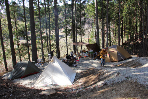 林間サイトでのグループキャンプ風景