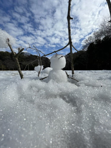 雪だるまくんの世界❄️