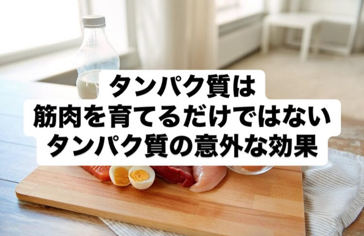 タンパク質の意外な効果‼️