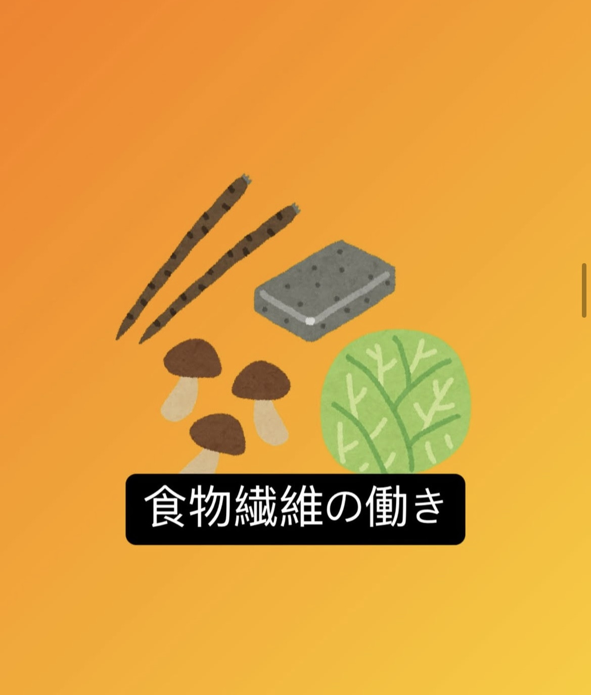 食物繊維の働き‼️