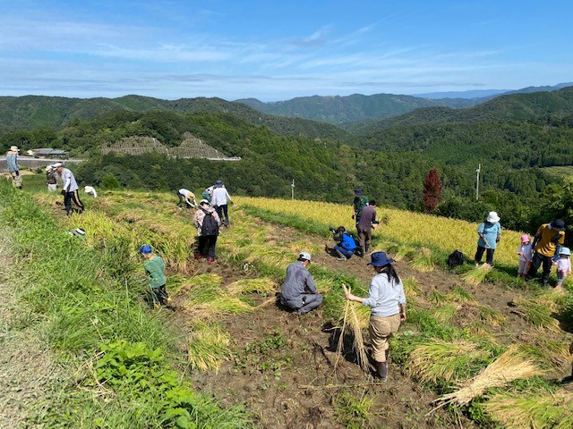 中田の棚田で農作業援農0925_04.jpg