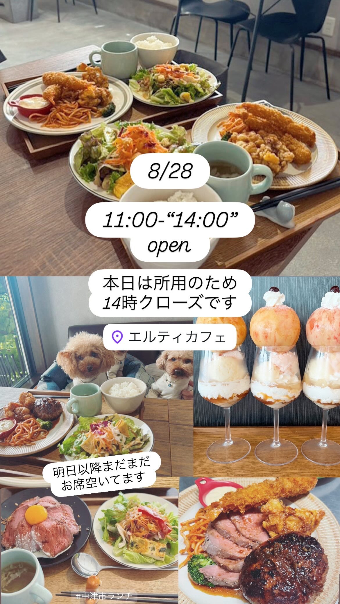 8/28 14時クローズ