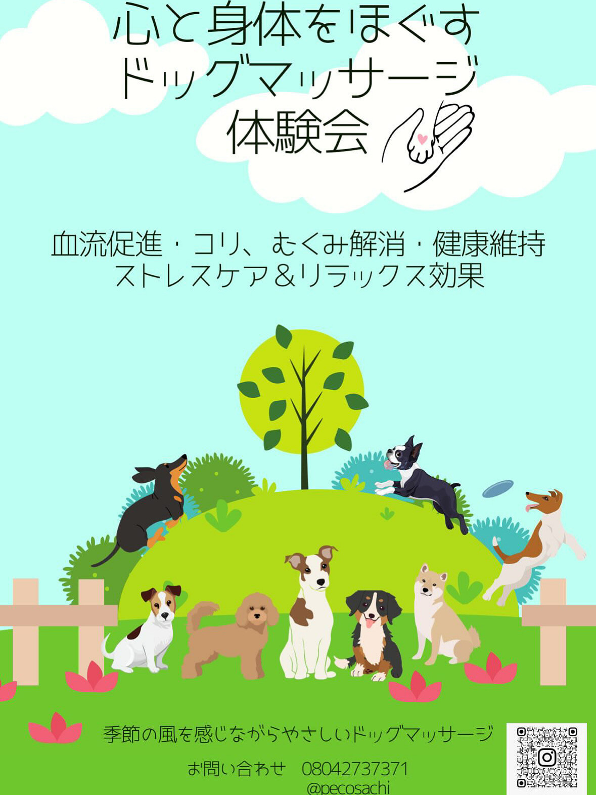 10/17 12ー14時ドッグマッサージ体験会開催!